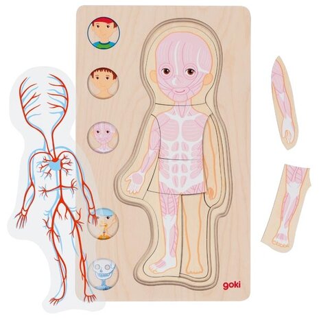 Anatomie Puzzel - Jongen | Goki